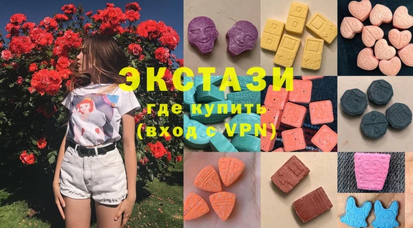 ECSTASY Богородицк